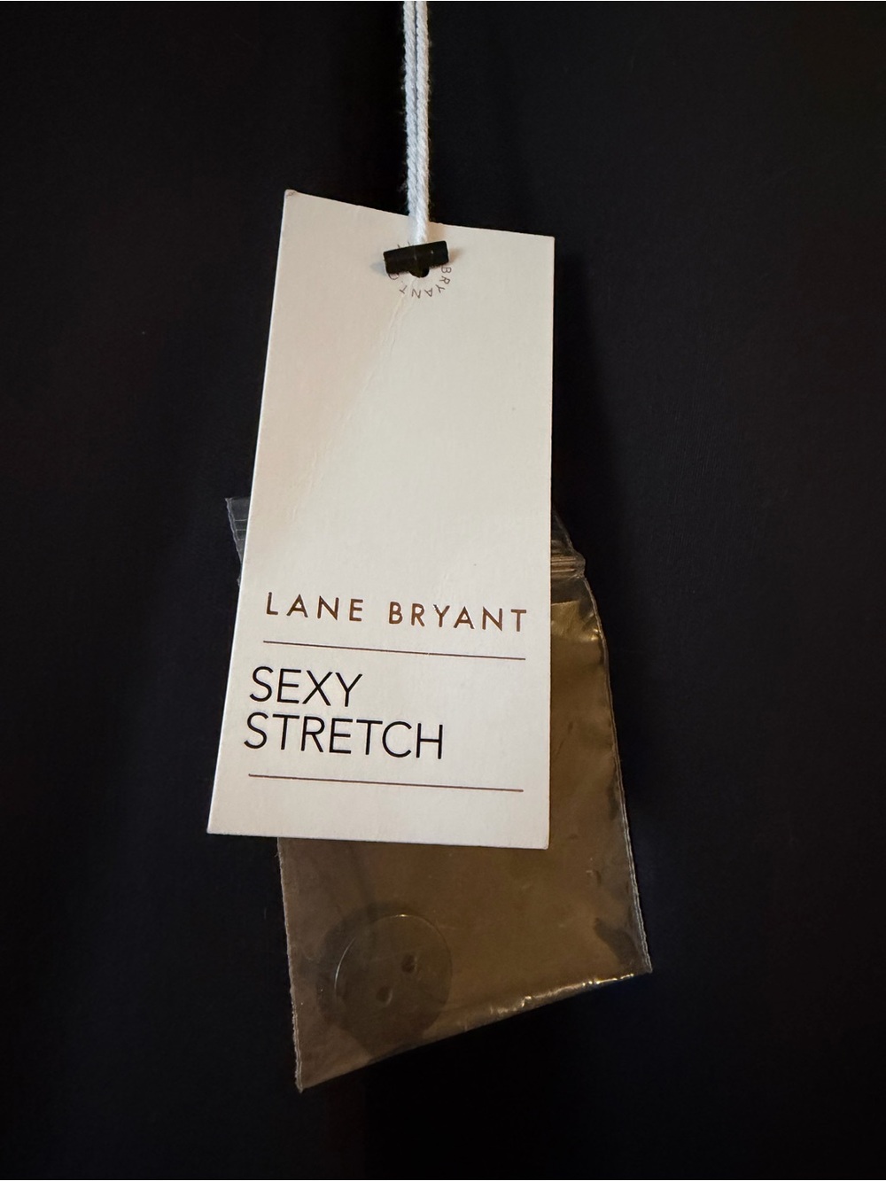 NWT Lane Bryant Black Dress Pants “The Allie” Sz 18R Smoke Free Home - Picture 2 of 8